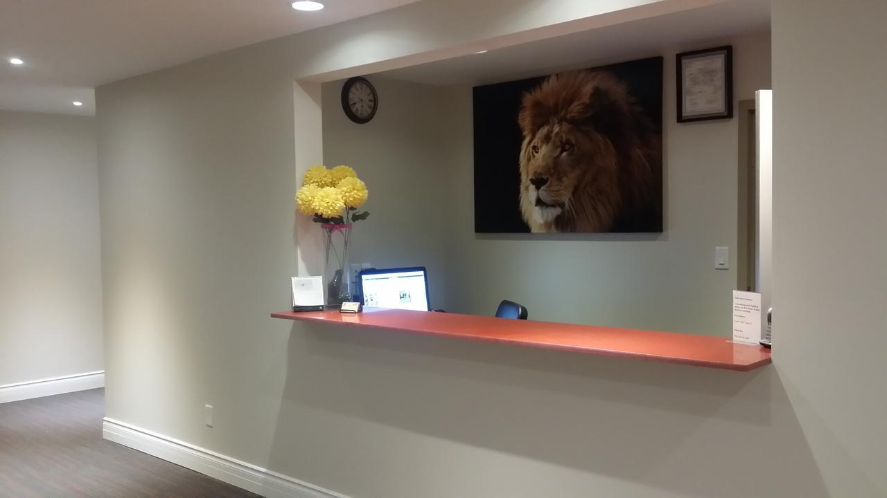 The Lion & Mini-hôtel